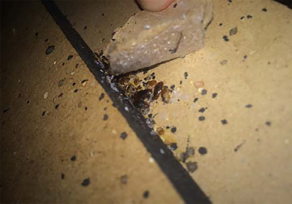 Man working with documents at wooden table in office, closeup